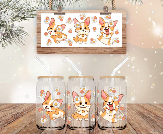 Corgi libbey wrap